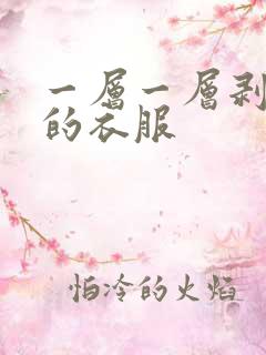 一层一层剥开你的衣服