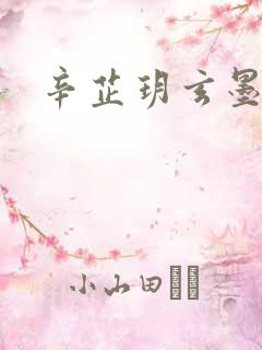 辛芷玥玄墨小说