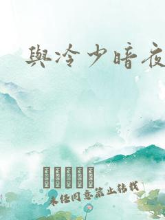 与冷少暗夜孽爱
