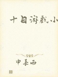 十日游戏小说