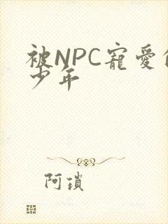 被NPC宠爱的少年