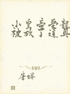 小皇帝受龙椅上被放了道具