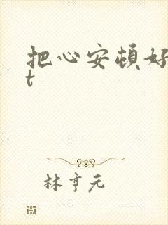 把心安顿好txt