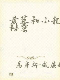 黄蓉和小龙女的秘密