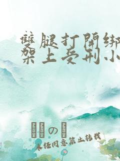 双腿打开绑在刑架上受刑小说