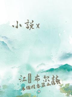 小说x