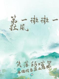 第一微微一笑很拉风