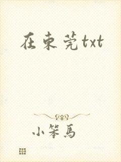 在东莞txt