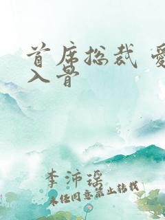 首席总裁 爱你入骨