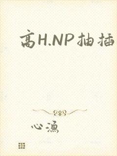高H.NP抽插