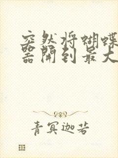 突然将蝴蝶遥控器开到最大