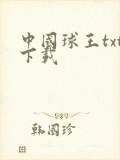 中国球王txt下载