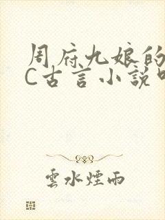 周府九娘的NPC古言小说叫什么