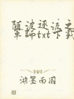 随波逐流之一代军师txt下载