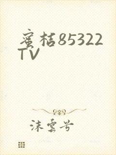蜜桔85322TV