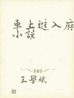 车上进入麻麻的小说