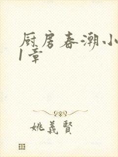 厨房春潮小说第1章