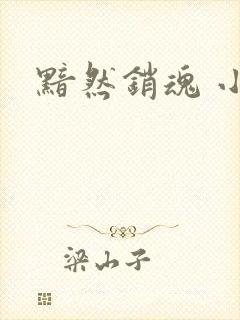 黯然销魂 小说