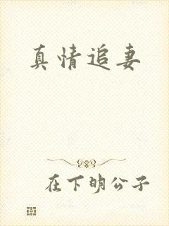 真情追妻