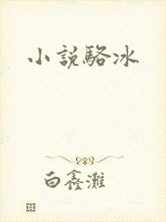 小说骆冰