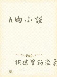h肉小说