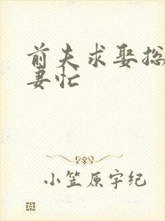 前夫求娶总裁追妻忙