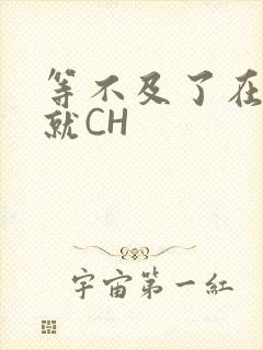 等不及了在车里就CH