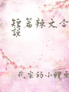短篇辣文合集小说