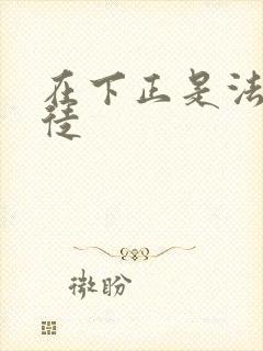 在下正是法外狂徒