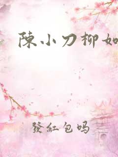 陈小刀柳如意