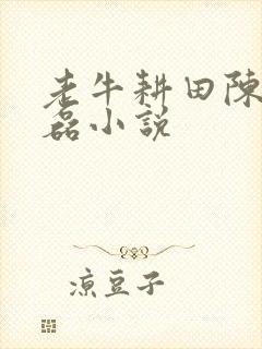 老牛耕田陈雪王磊小说