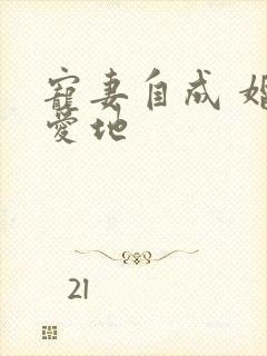 宠妻自成 婚天爱地