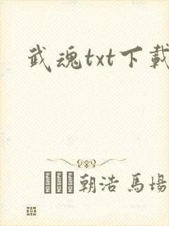 武魂txt下载