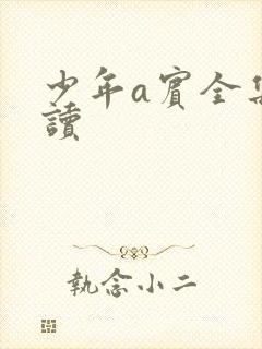少年a宾全集阅读