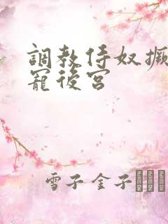 调教侍奴撅臀男宠后宫