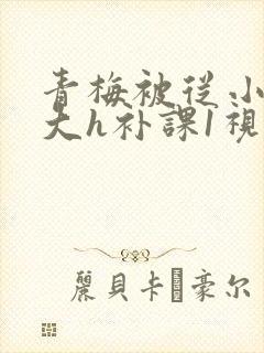 青梅被从小摸到大h补课1视频