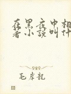 在黑夜中相拥原著小说叫什么