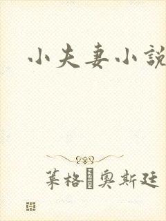 小夫妻小说