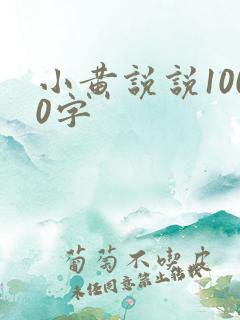 小黄说说1000字