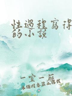 性过程写得详细的小说