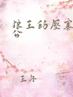 狼王的压寨小相公