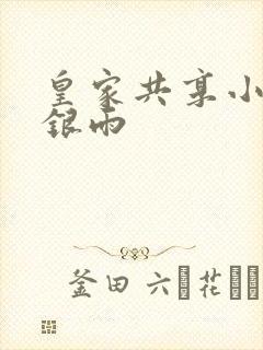 皇家共享小公主银雨