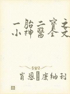 一胎二宝之弃妃小神医全文免费阅读