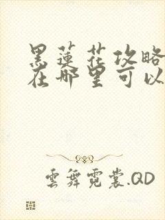 黑莲花攻略手册在哪里可以免费阅读