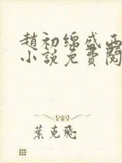 赵初绵盛西舫的小说免费阅读