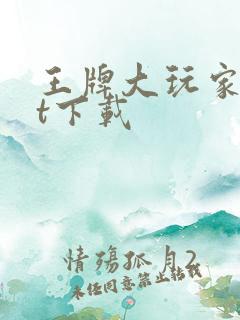 王牌大玩家txt下载