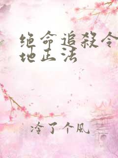 绝命追杀令2就地正法