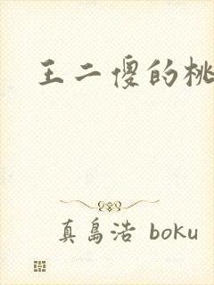 王二傻的桃花运