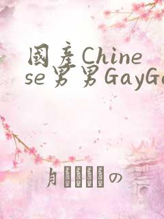 国产Chinese男男GayGayAPP