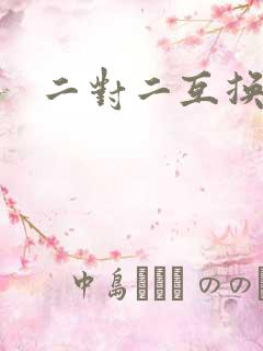 二对二互换共享